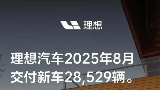 理想同比环比三连跌