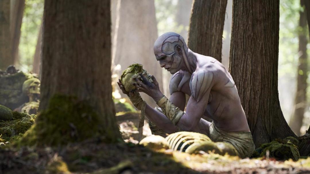 大失所望，网飞也不行