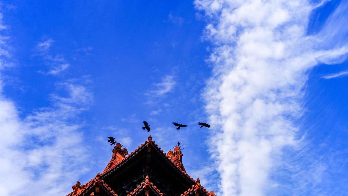 2026河北单招全攻略！重要时间节点，考生必看|题芽单招