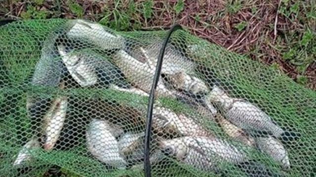 春季野钓4宜4不宜，掌握鱼情规律，出门钓鱼就爆护