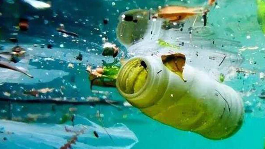 太平洋垃圾岛现新物种，塑料构成生命体，检测到自主意识