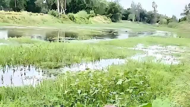 二零二四年（第16辑）