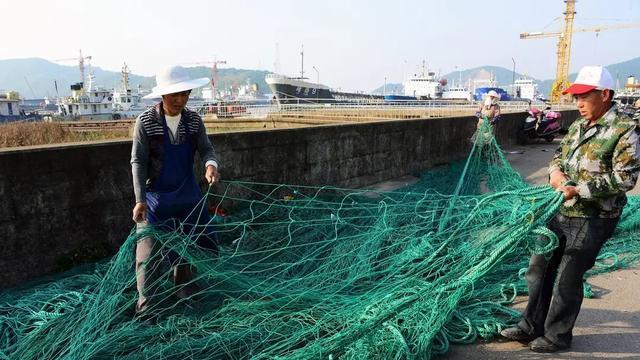 1年吃掉100万吨！带鱼捕获量逐年下降，它会像大黄鱼一样枯竭吗