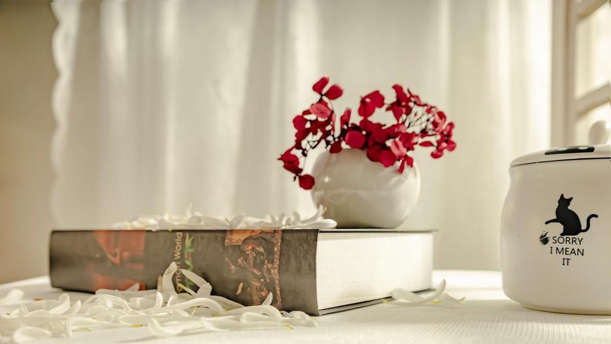 河北中职单招热门专业指南：锚定产业风口，解锁高薪就业|题芽单招