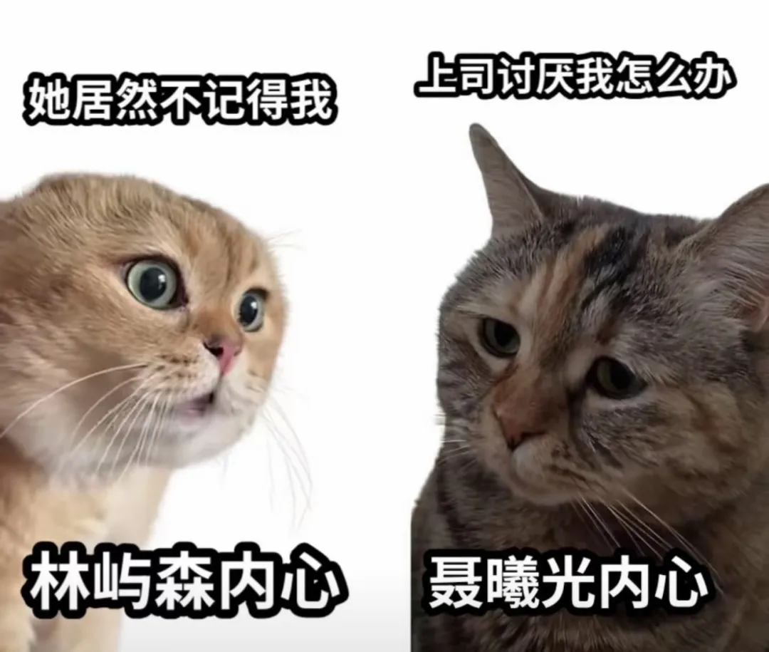 老师这就是我们老式偶像剧吗？