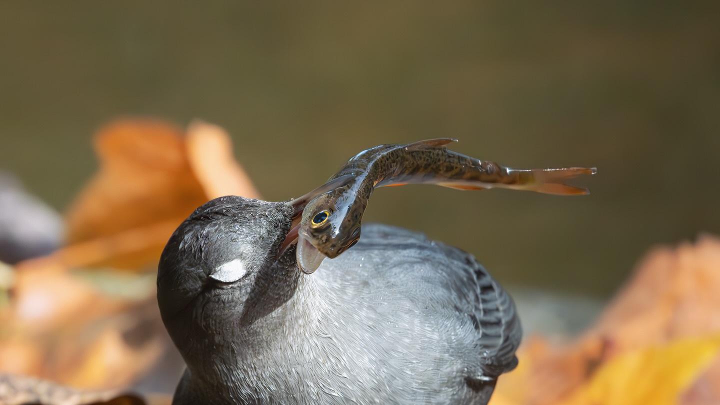 当我实现了这个目标，我的生活会出现什么样的画面？