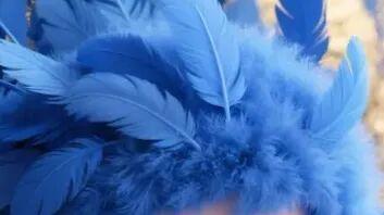 笑出腹肌的胡说八道文案