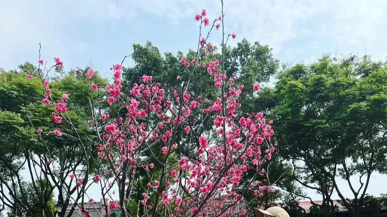 舍不得断，又不能在一起的关系，最好的处理方式
