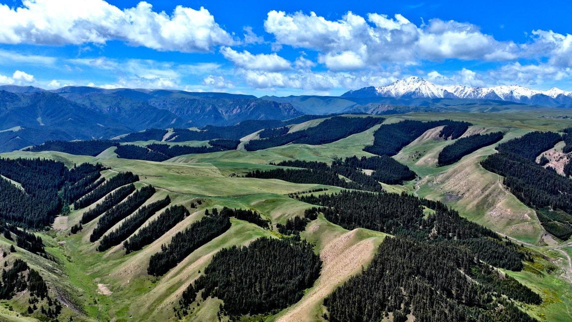 走进祁连山——感受人文与自然的完美融合