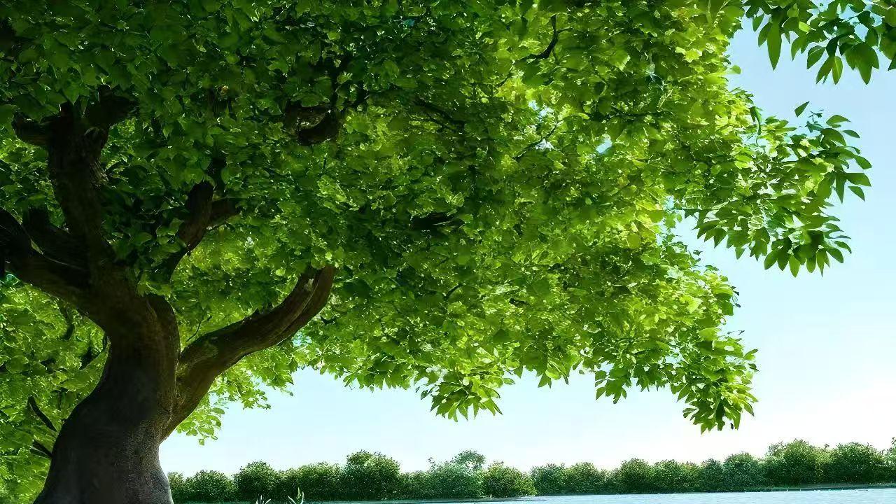 2025乙巳蛇年每日通盛及各生肖运势10月4日