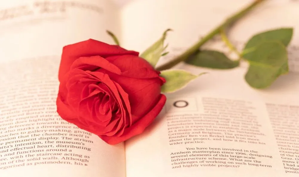 爱是双向奔赴，不是单人独舞