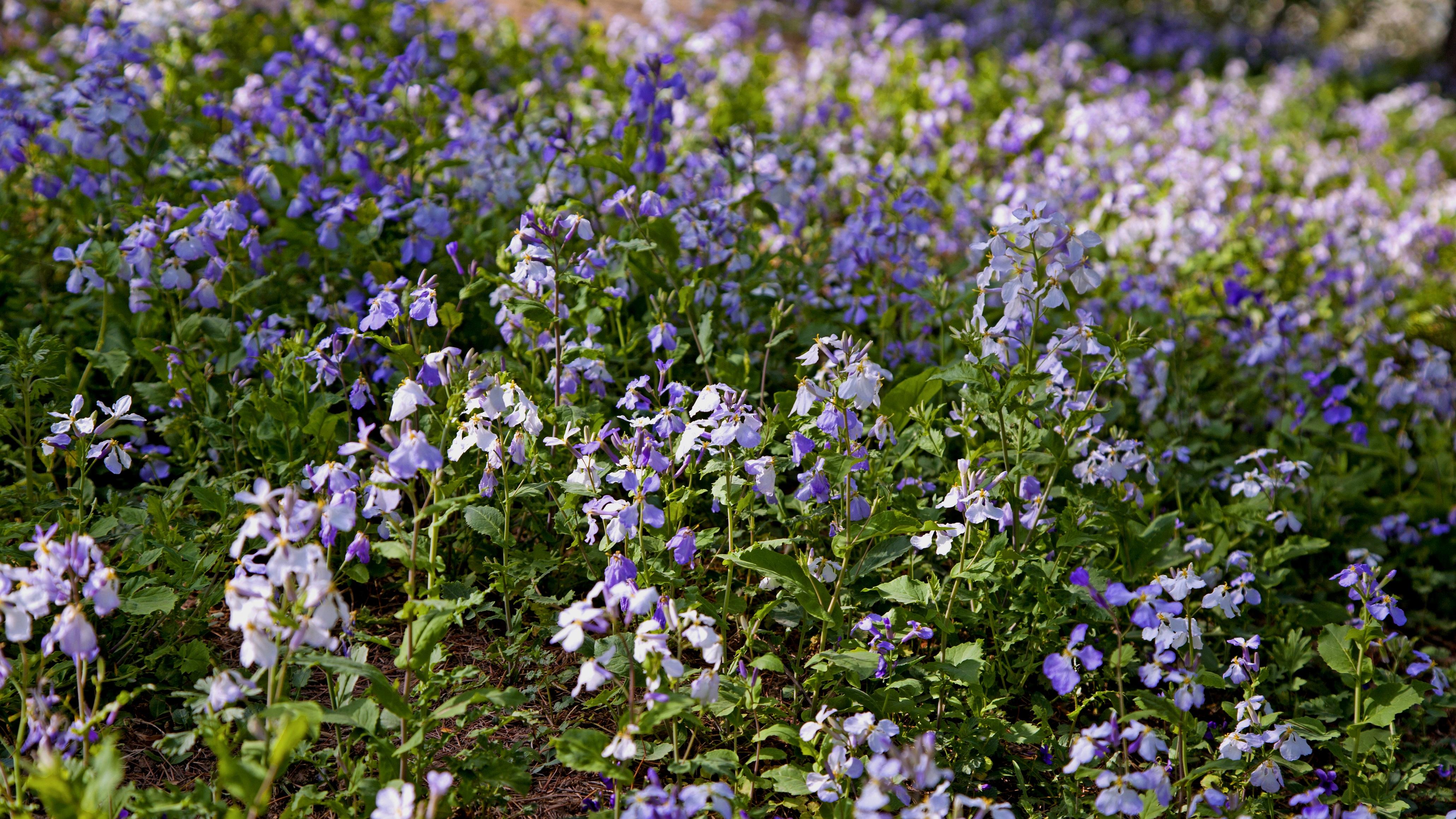 奋进“十五五”