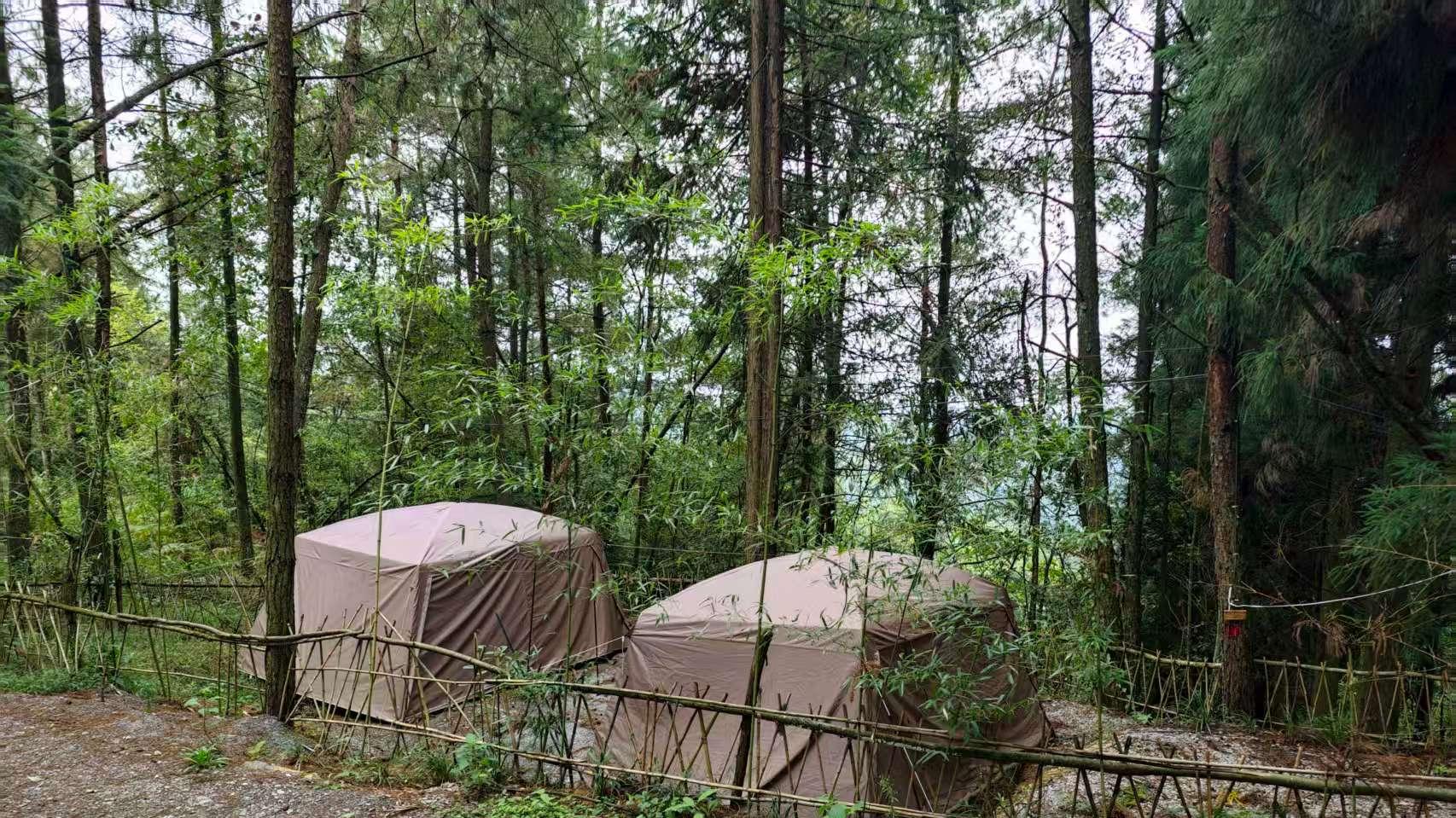白马草堂：藏在森林里的露营与疗愈之地