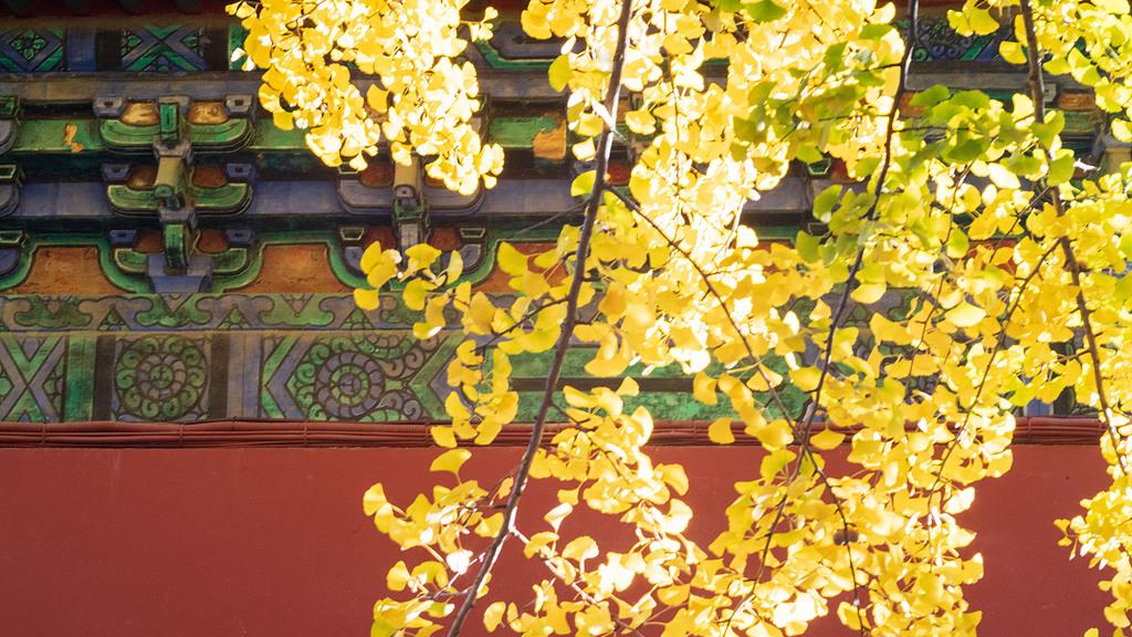 人到中年，没人不苦