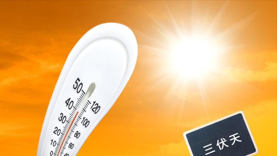 明日进入三伏天，虽然只有30天，但这个三伏不一般！