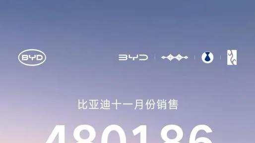 比亚迪11月全球销量，劲破48万辆，海外业务同比激增297%