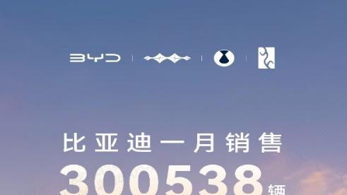 中国销冠，比亚迪1月销量超30万辆，出口量飙升83.4%