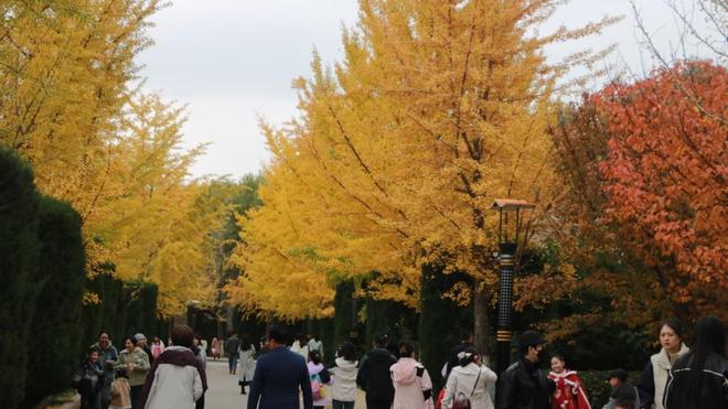 家乡的初冬有感