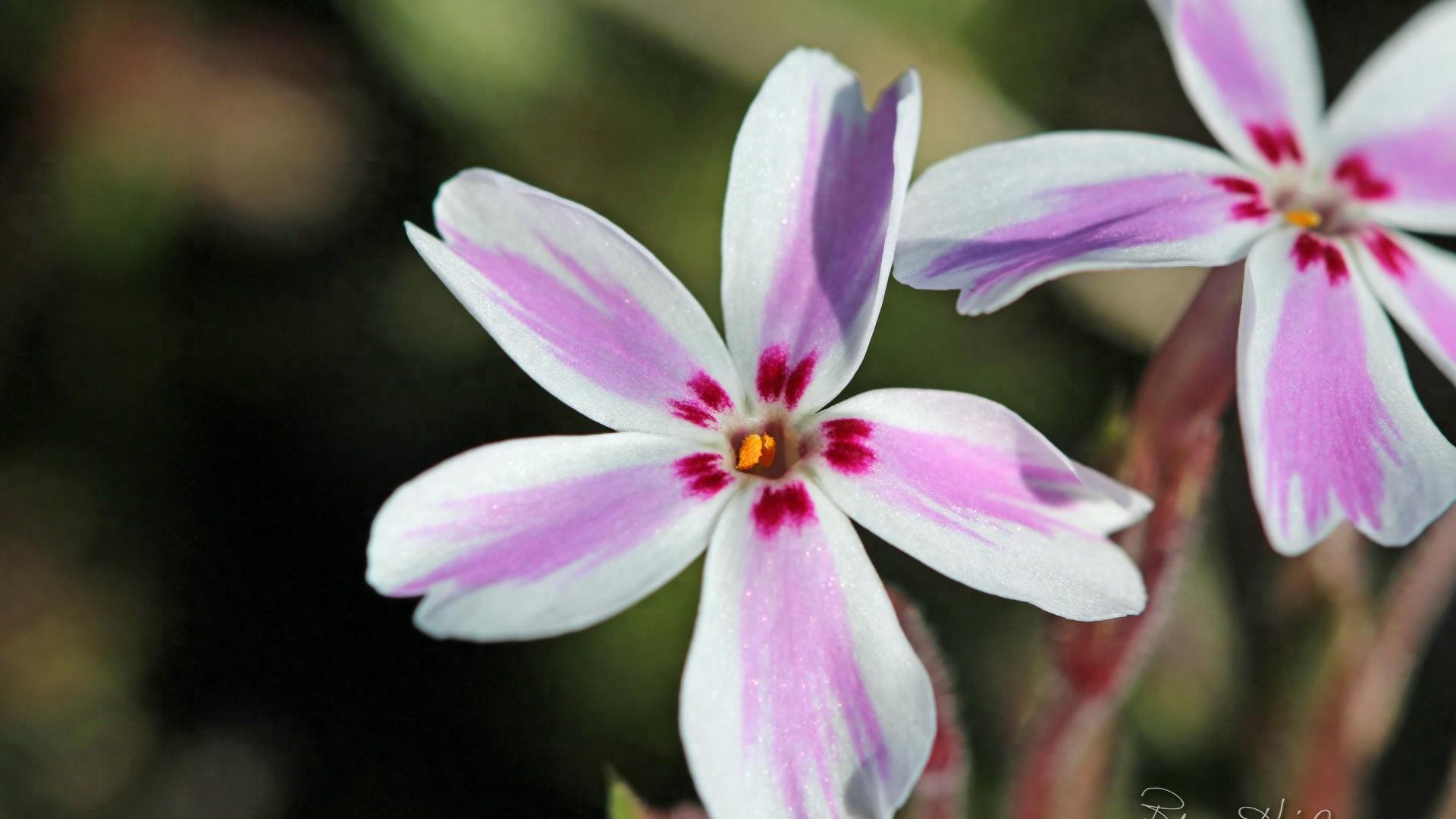 2025年7月23日幸福星座：第十位，水瓶座