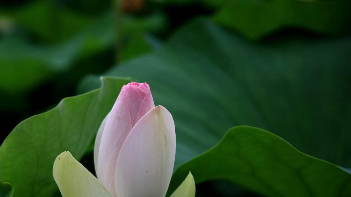 人活着，要尽所能，敬所不能