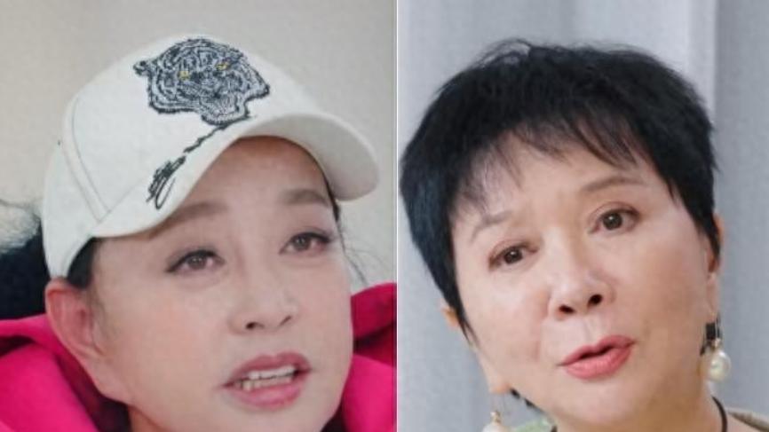 拉拢倪萍，讨好张蔷，却当众甩脸刘晓庆，李小冉空有美貌没有情商