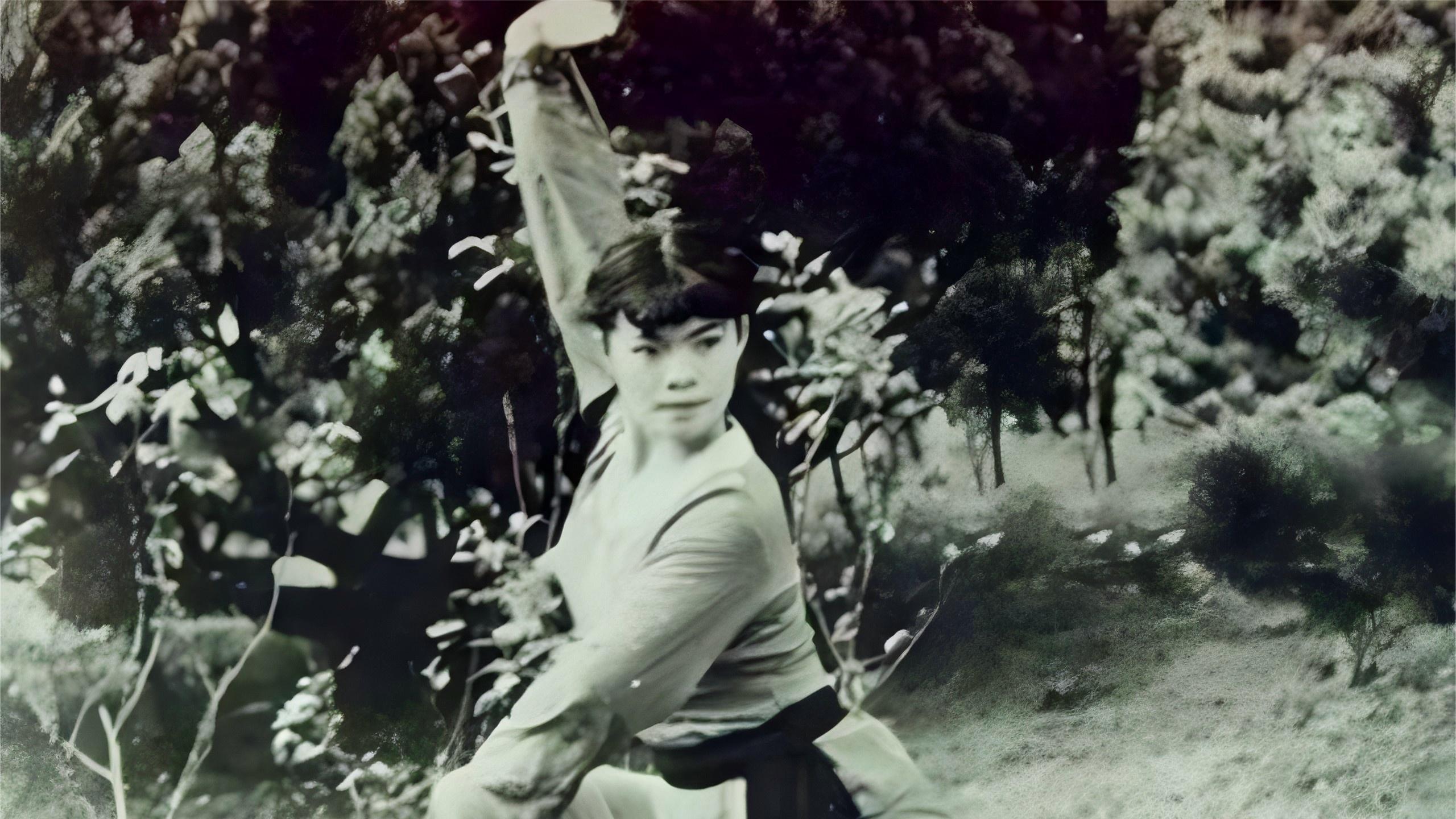 女飞贼如何盗氢弹部件？周总理限十天破案，退休神探哪招妙计抓捕