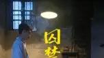 《囚禁的新娘》爆款来袭，（30集）悬疑反转与情感张力拉满