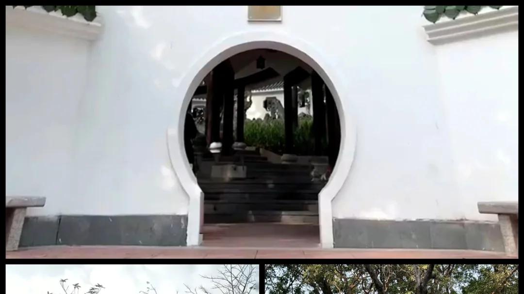 深圳龙华区功能性最全的龙华公园！古色古香，内藏龙峰塔，溜娃，娱乐，古迹，缅怀革命先烈…非常适合老人和