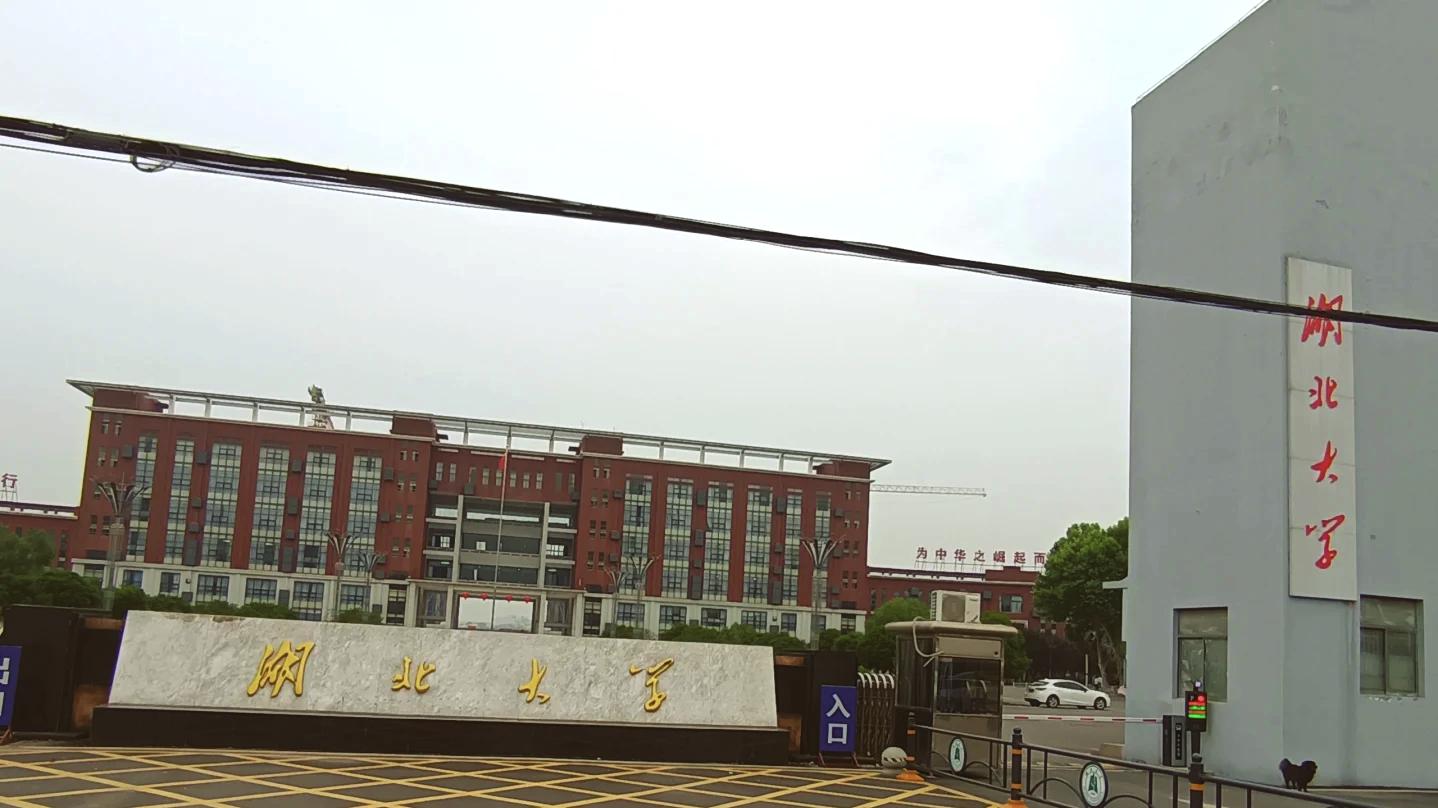 武汉阳逻水域高校学生溺水事件，给我们哪些启示？
