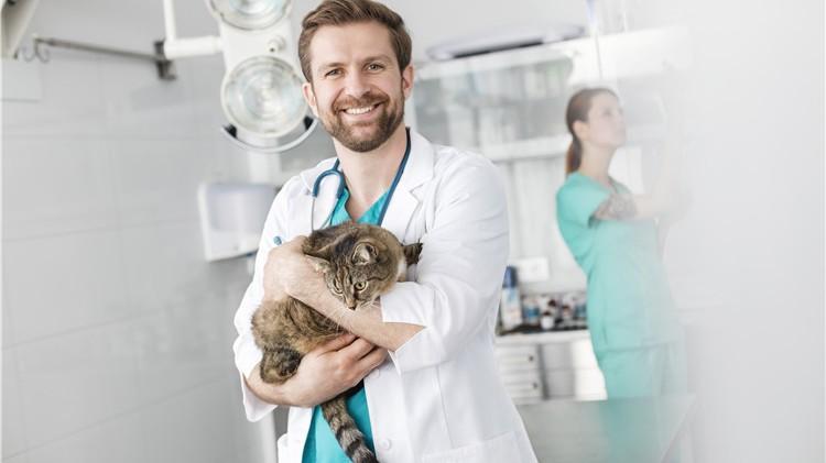 连锁宠物店开展神秘顾客暗访项目，主要检查哪些内容？