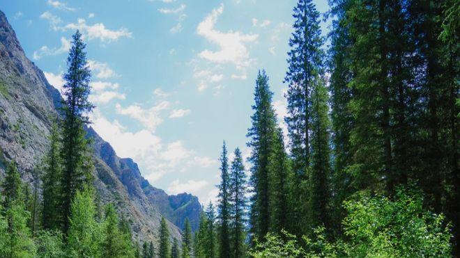 张秃子的忐忑人生笔记——262自尊的伤