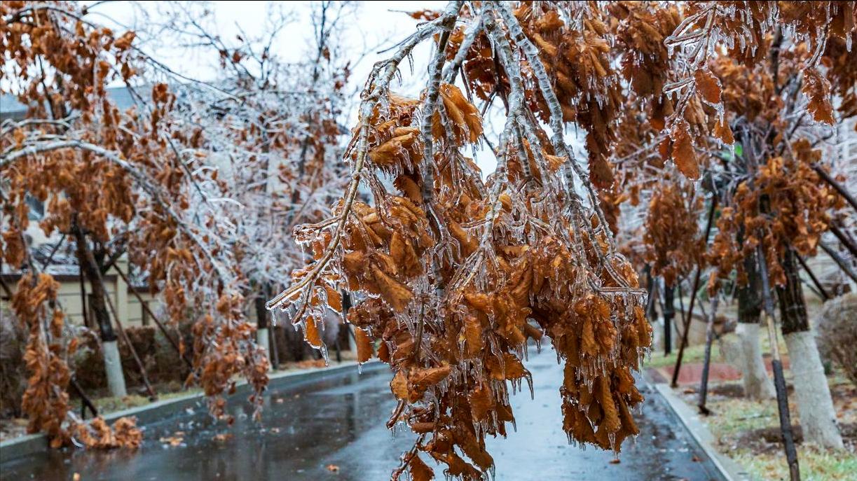 本周日冬至，俗话“不怕冬至雨，就怕冬至晴”，冬至晴天有啥预兆？今年冬天冷吗？
