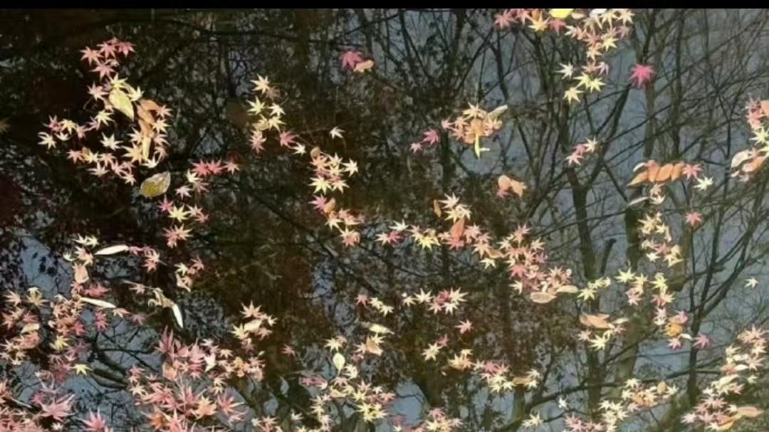 婚姻真正的归宿，只有两个字用心