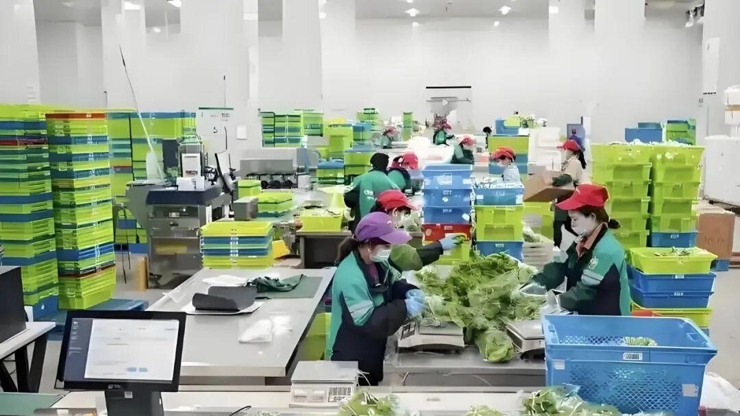 叮咚买菜加速再造商品力