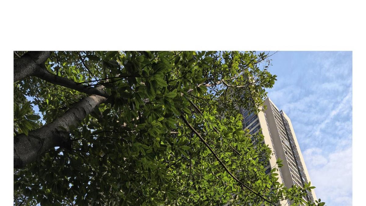 华为Mate 70 Air惊艳登场：7英寸大屏+6.6mm超薄机身