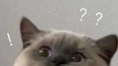 逆水寒新CG登顶热搜后，成游戏圈“社交货币”了？