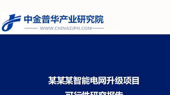 某某某智能电网升级项目可行性研究报告