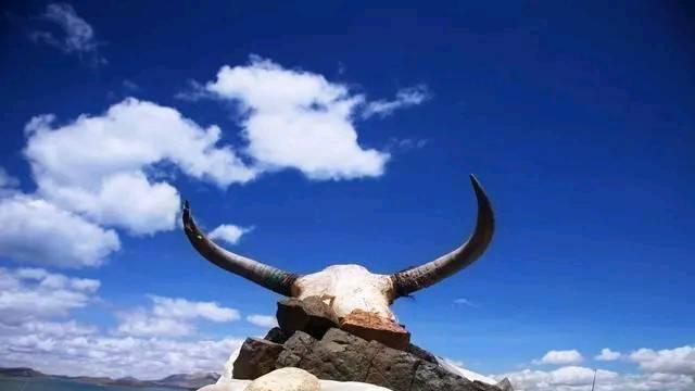 不会拒绝，总是把钱往外借的四个星座