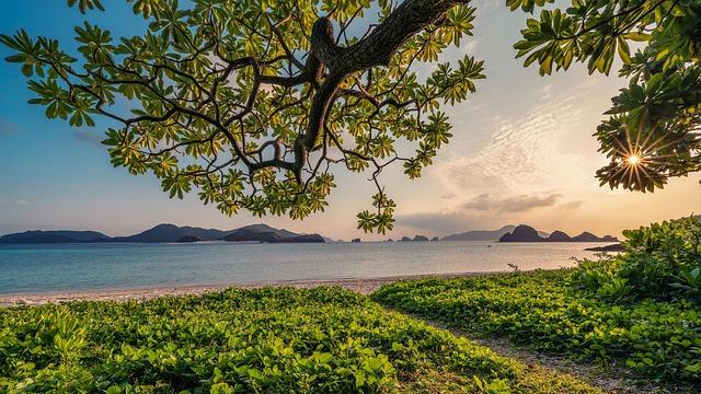 人生没有白走的路，但关键的那几步决定了你的方向