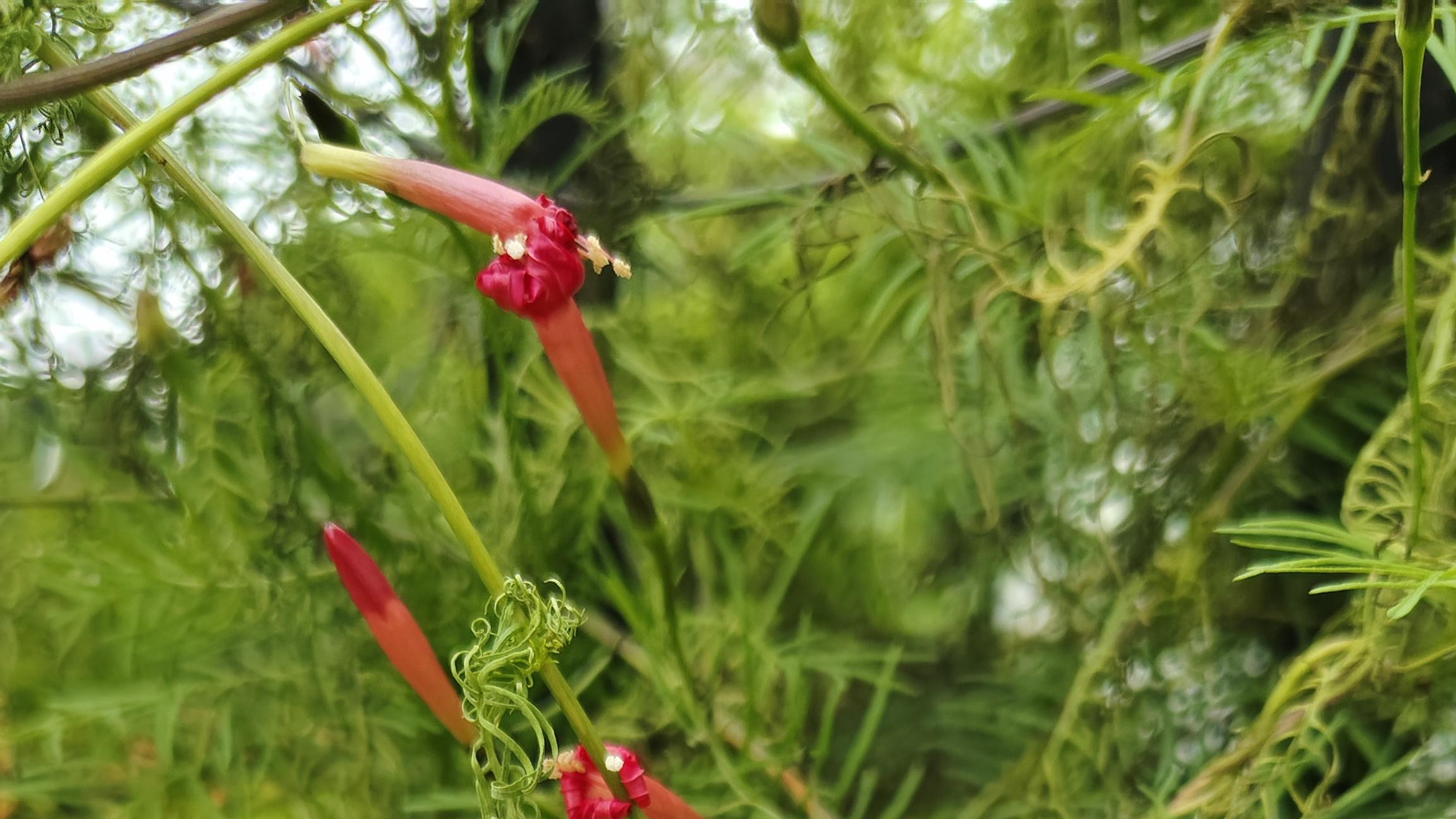 张宇与张莉的爱情故事