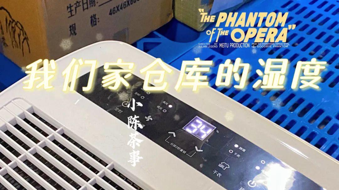 今年的低价白茶，跟优质白茶的差距在哪里？看完这4个细节，秒懂