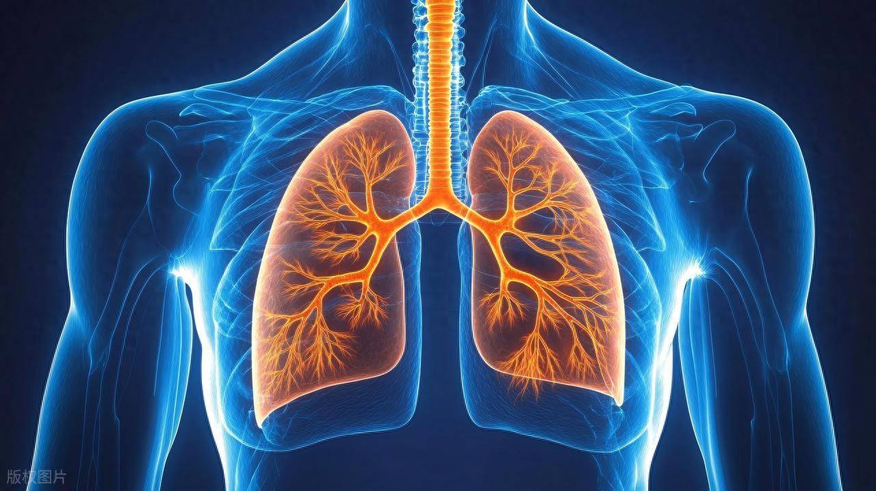 咳痰喘多年，是“老慢支”还是慢阻肺？关键看这一点