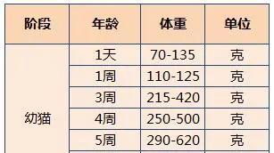 猫咪肥胖的危害及预防肥胖的饮食方法