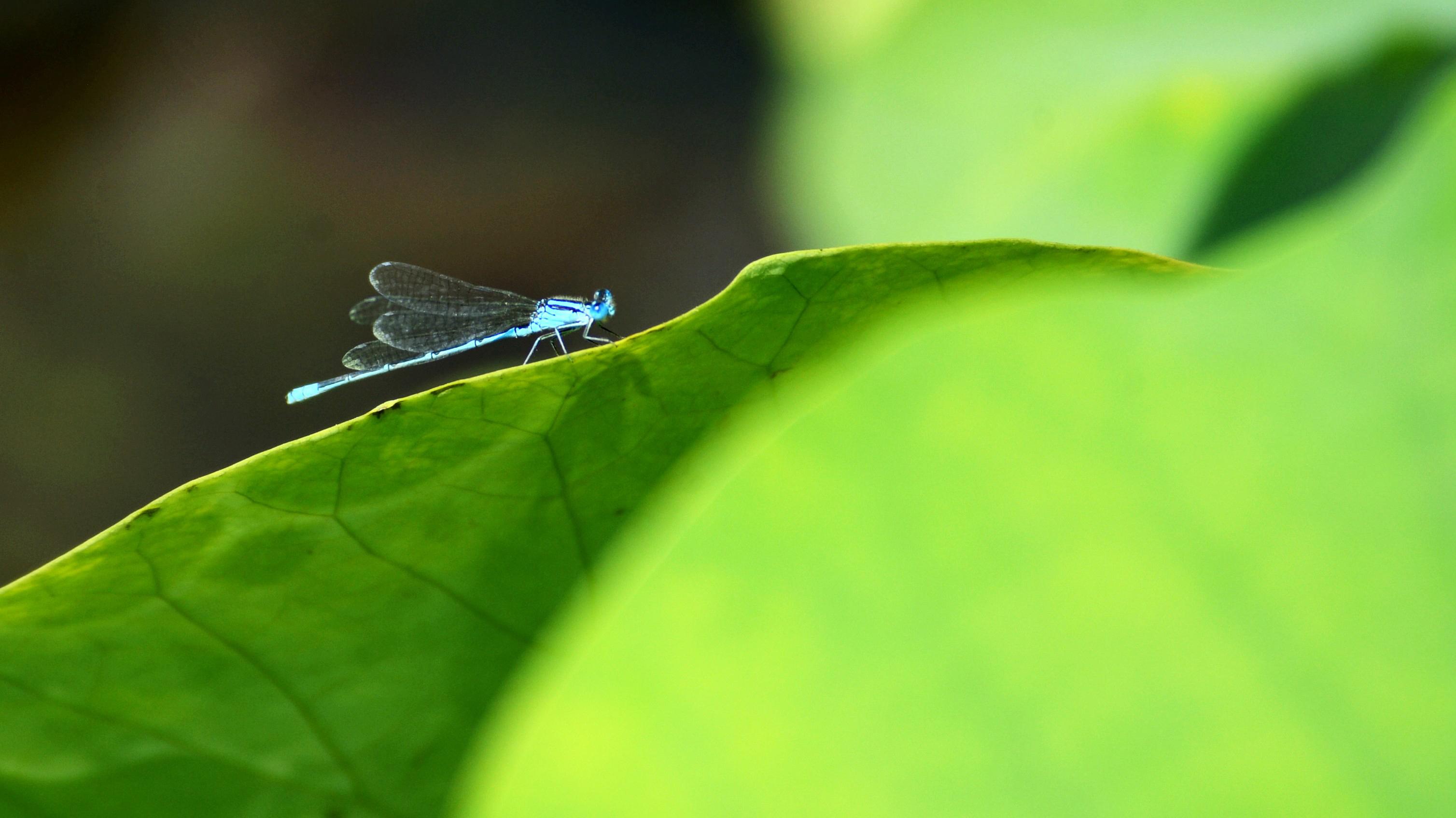技术封锁的火，怎么成了我们的磨刀石？