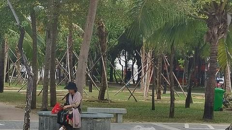 东北老友海南买房避寒，去年却哭着回来，真相太现实！