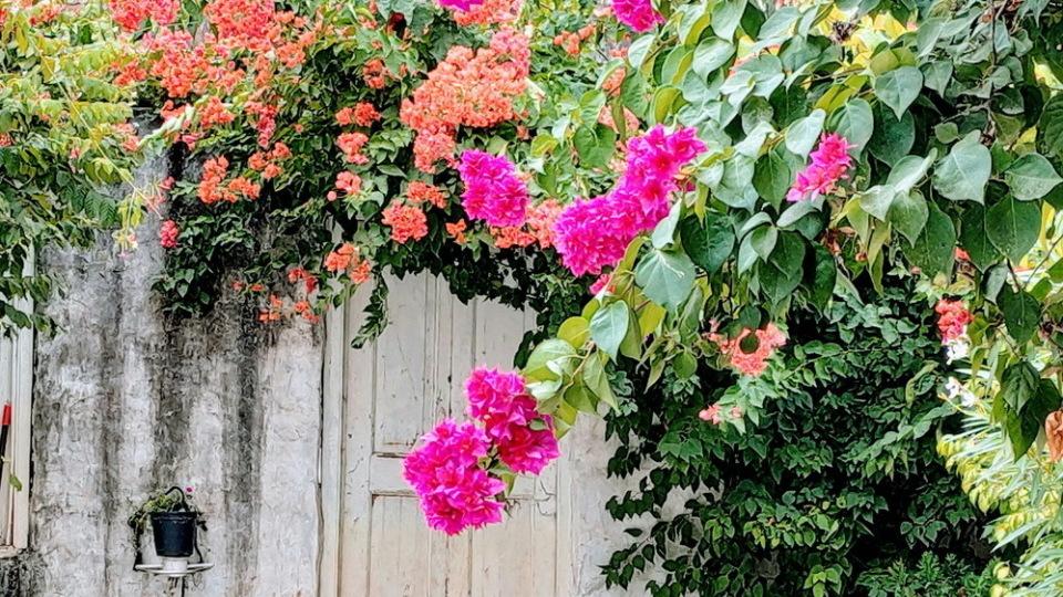 相信我，钱不要放在别人名下，父母也不行