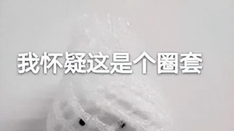 榴莲自由背后的经济学 竟被这款三国游戏玩明白了？