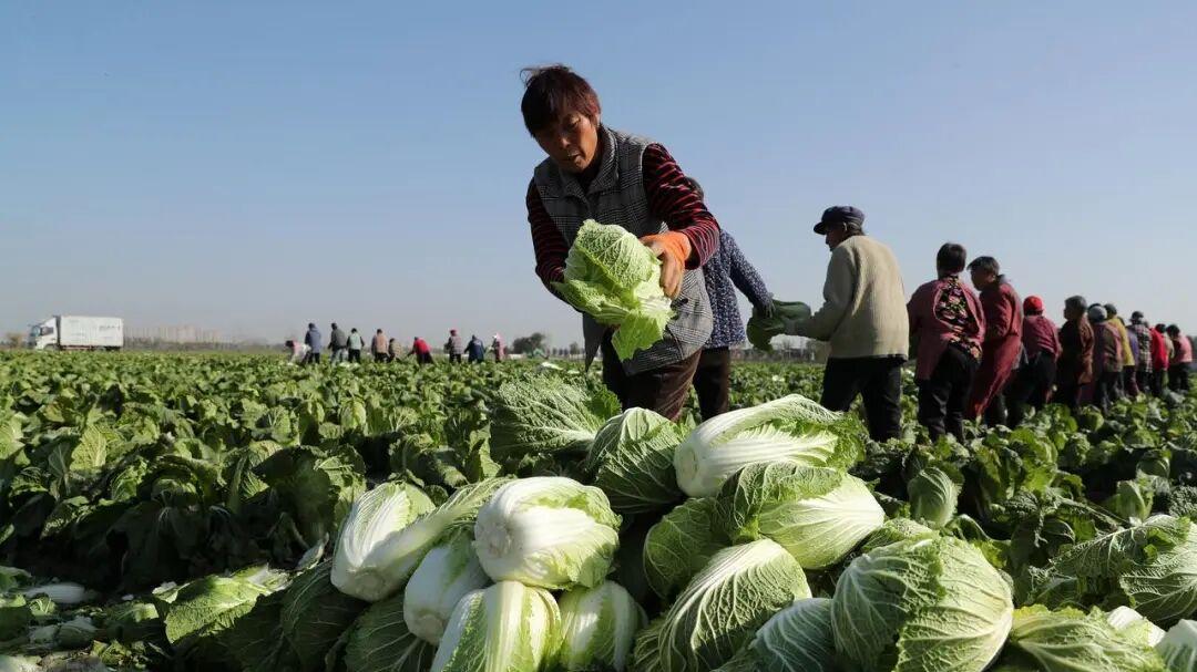 3 个隐形规矩！兄弟姐妹晚年不反目，家和万事兴的秘诀藏在这