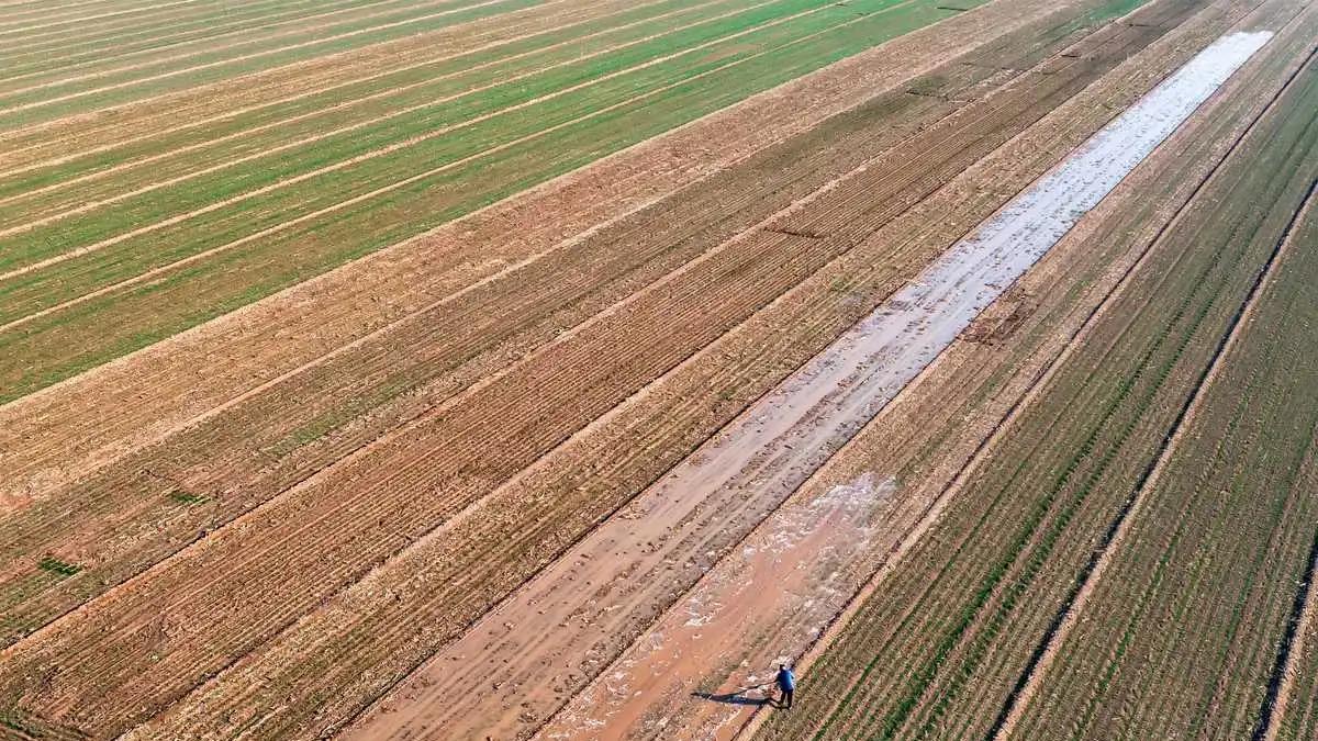土壤温度、湿度、电导率监测传感器工作原理