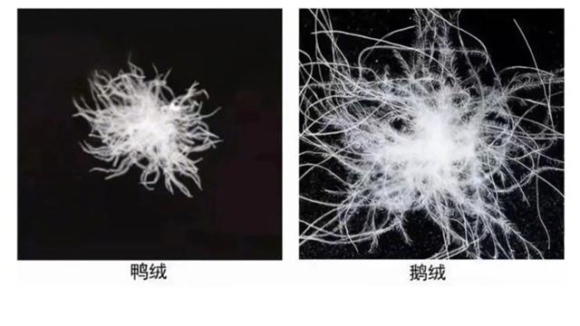 “自以为时髦，实际很廉价”的4种羽绒服，件件寒酸难看，你有吗